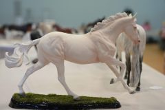 DSC01234-scaled