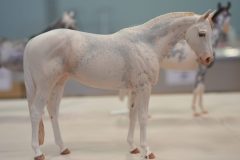 DSC01236-scaled
