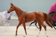 DSC01237-scaled