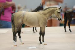 DSC01239-scaled
