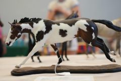DSC01240-scaled