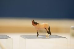 DSC01245-scaled