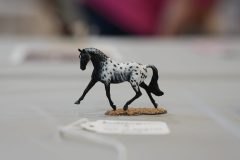 DSC01251-scaled