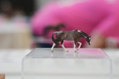 DSC01254-scaled