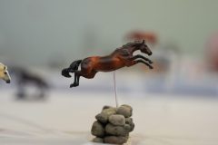 DSC01261-scaled