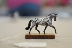 DSC01264-scaled