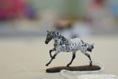 DSC01265-scaled