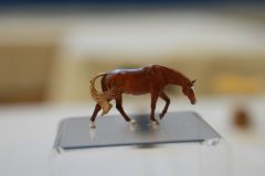 DSC01270-scaled