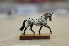 DSC01277-scaled