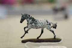 DSC01278-scaled