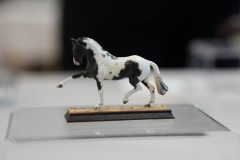 DSC01283-scaled