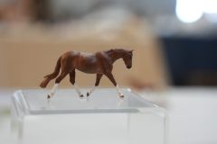 DSC01286-scaled