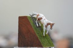 DSC01287-scaled