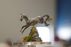 DSC01289-scaled