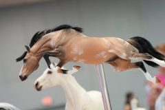 DSC01297-scaled