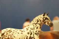 DSC01304-scaled