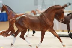 DSC01307-scaled