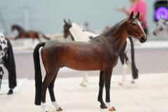 DSC01311-scaled