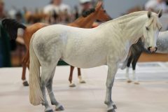 DSC01315-scaled