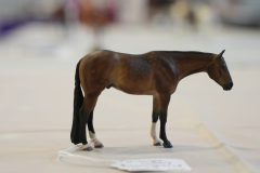 DSC01335-scaled