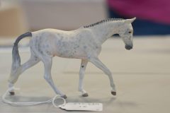 DSC01339-scaled