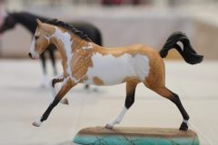DSC01341-scaled
