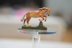 DSC01347-scaled