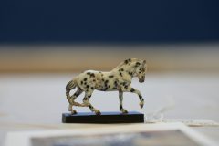 DSC01352-scaled