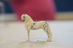 DSC01353-scaled