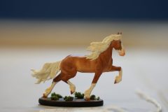 DSC01358-scaled