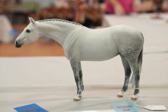DSC01366-scaled