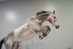 DSC01373-scaled
