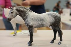 DSC01376-scaled