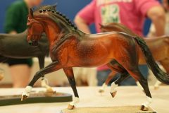 DSC01386-scaled