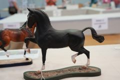 DSC01388-scaled