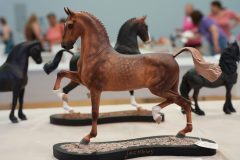 DSC01389-scaled