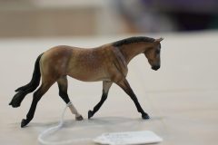 DSC01395-scaled