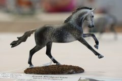 DSC01397-scaled