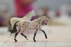 DSC01398-scaled
