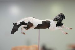 DSC01404-scaled