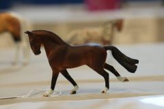 DSC01411-scaled