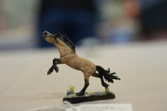 DSC01425-scaled