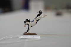 DSC01429-scaled