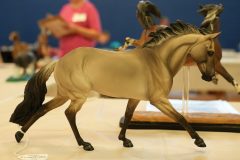 DSC01456-scaled