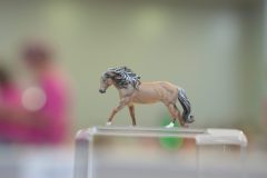 DSC01469-scaled