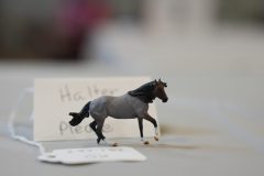 DSC01477-scaled
