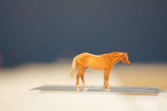 DSC01483-scaled