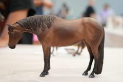 DSC01493-scaled