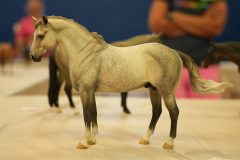 DSC01500-scaled