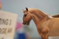 DSC01506-scaled